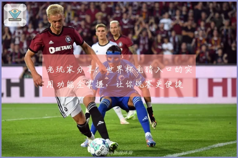 老玩家分享：世界杯竞猜入口的实用功能全掌握，让你观赛更便捷