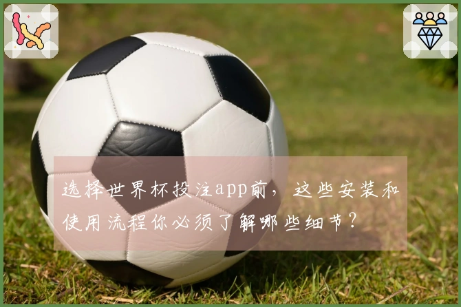 选择世界杯投注app前,这些安装和使用流程你必须了解哪些细节?
