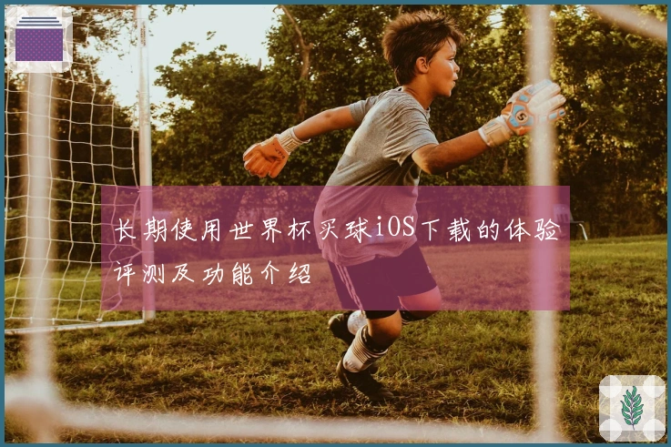 长期使用世界杯买球iOS下载的体验评测及功能介绍