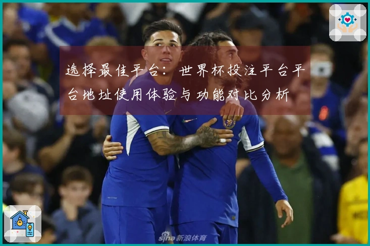选择最佳平台：世界杯投注平台平台地址使用体验与功能对比分析