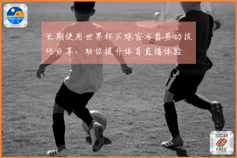 长期使用世界杯买球官方首页的技巧分享，助你提升体育直播体验