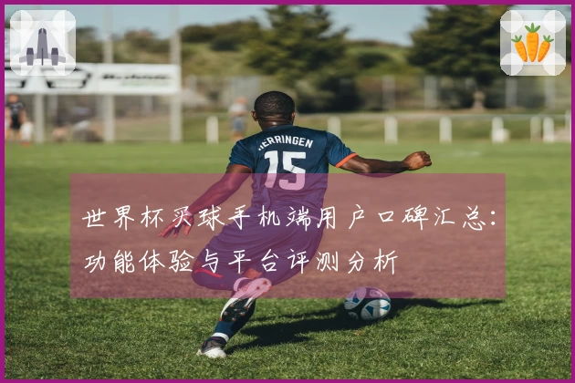 世界杯买球手机端用户口碑汇总：功能体验与平台评测分析