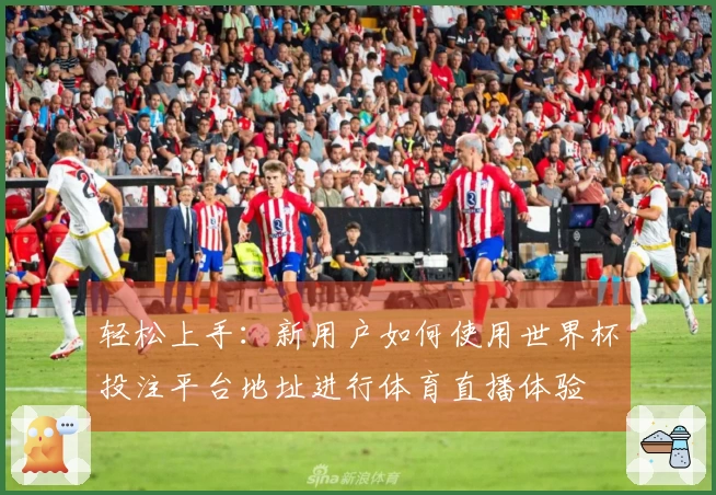 轻松上手:新用户如何使用世界杯投注平台地址进行体育直播体验