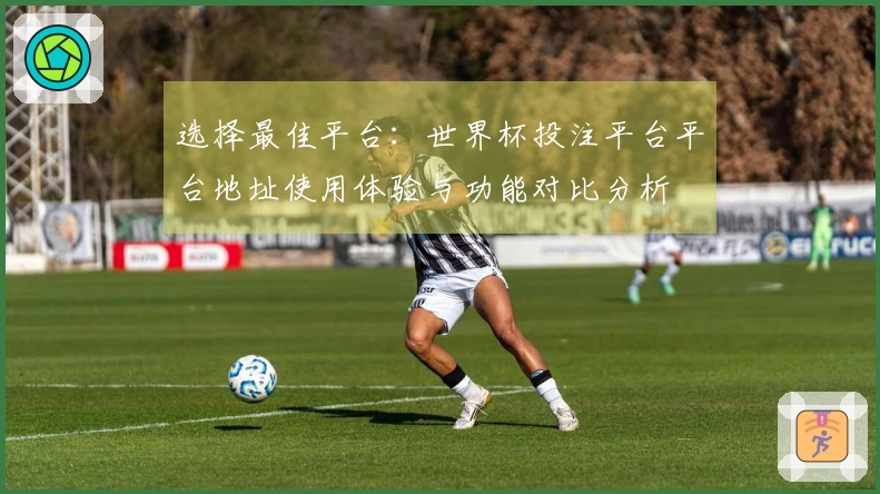 选择最佳平台：世界杯投注平台平台地址使用体验与功能对比分析