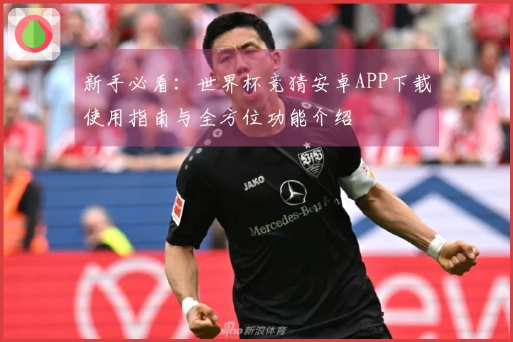新手必看：世界杯竞猜安卓APP下载使用指南与全方位功能介绍
