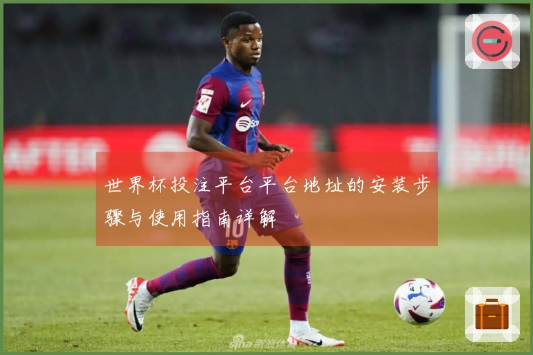 世界杯投注平台平台地址的安装步骤与使用指南详解