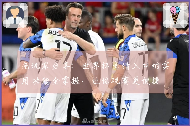老玩家分享：世界杯竞猜入口的实用功能全掌握，让你观赛更便捷