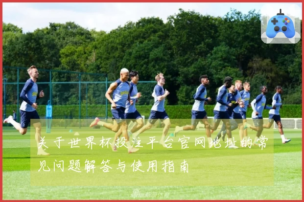 关于世界杯投注平台官网地址的常见问题解答与使用指南