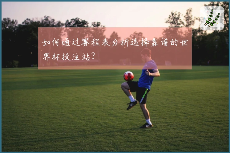 如何通过赛程表分析选择靠谱的世界杯投注站？