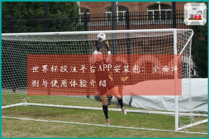世界杯投注平台APP安装包：全面评测与使用体验介绍