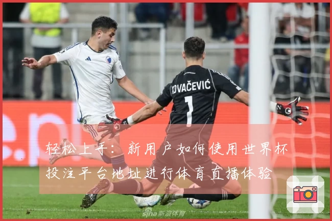 轻松上手：新用户如何使用世界杯投注平台地址进行体育直播体验