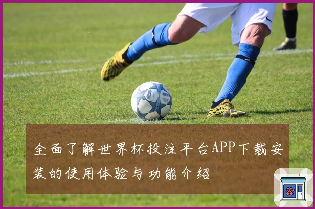 全面了解世界杯投注平台APP下载安装的使用体验与功能介绍