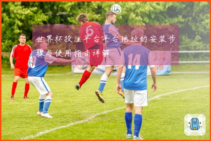 世界杯投注平台平台地址的安装步骤与使用指南详解